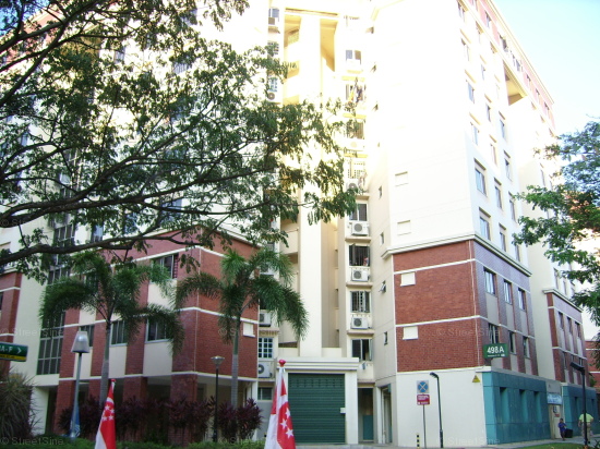 Blk 498A Tampines Street 45 (Tampines), HDB 4 Rooms #102542